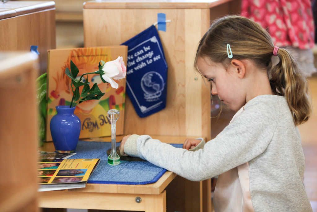 In order for self-directed learning to take place, the learning environment room must be supportive of the learner.