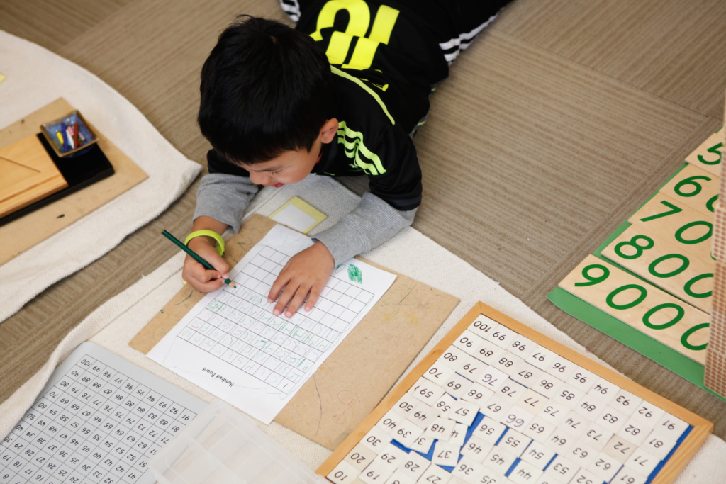 Understanding through visualization is a significant part of the Montessori learning process.
